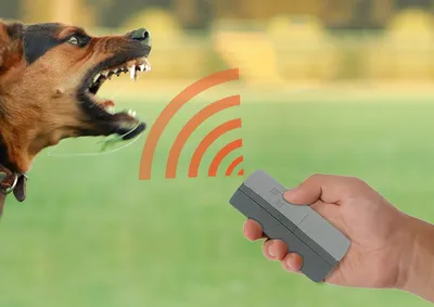 Отпугиватель собак ультразвуковой слушать онлайн бесплатно - Отпугиватели  собак