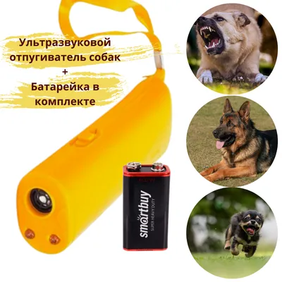 Ультразвуковой отпугиватель собак Антилай, тренажер 3 в 1, Для защиты и  самообороны от бродячих собак, со светодиодной подсветкой, батарейка в  комплекте - купить с доставкой по выгодным ценам в интернет-магазине OZON  (390490239)