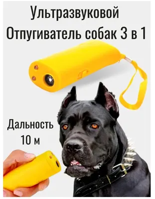 Ультразвуковой отпугиватель собак / Корректировка поведения / Антилай,  батарейка в комплекте - купить с доставкой по выгодным ценам в  интернет-магазине OZON (430706918)