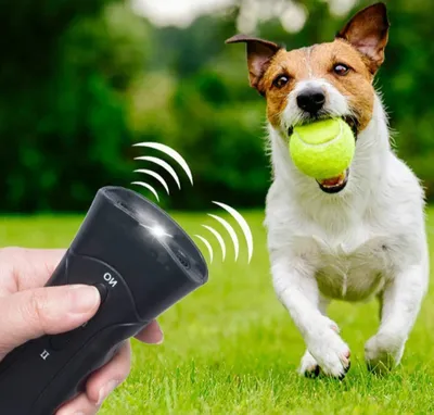 Ультразвуковой отпугиватель собак - карманное устройство для дрессировки,  устранения лая и вызывания паники у собаки - Sikumi.lv
