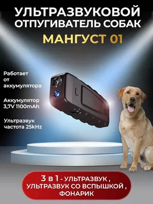 Профессиональный отпугиватель собак Scram Animal Chaser | Мощный  ультразвуковой отпугиватель собак | (ID#1882692182), цена: 363 ₴, купить на  Prom.ua