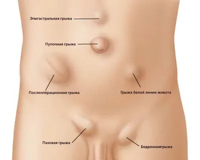 Болезни собак - Ветеринарная клиника в Зеленограде \"POLIVET\"