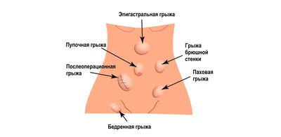 Пациенты клиники ЛинаВет