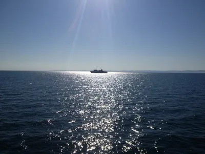 Картина по номерам Палуба корабля, Море - купить с доставкой по выгодным  ценам в интернет-магазине OZON (961875886)