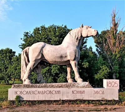 Воронежский памятник коню прославился на всю Россию