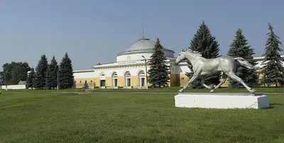 На Советской площади Воронежа появится памятник основателю города Семену  Сабурову