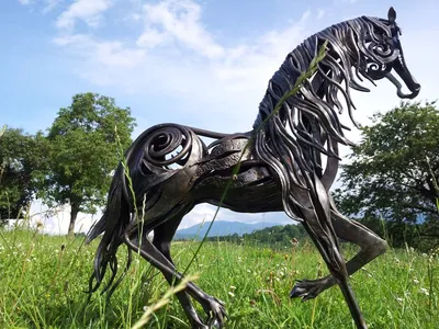Памятник коню в воронеже фото фотографии
