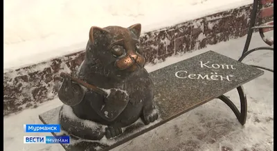 В Мурманске появился памятник коту Семену