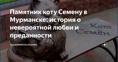 Памятник коту Семену в Мурманске лидирует в конкурсе самых необычных  скульптур России - KP.RU