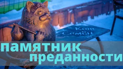 Экскурсии к памятнику коту Семёну в Мурманске 2024 году 🧭 цены в январе от  910 руб.