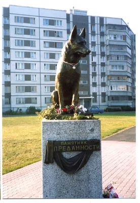 Тольятти. памятник преданности | Памятники, Художественные скульптуры,  Публичное искусство