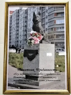 Памятник «Преданности» — памятник в Тольятти в виде пса, терпеливо ждущего  своих хозяев. | Жизнь Тольятти | Дзен