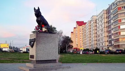 Памятник собачьей преданности: honzales — LiveJournal