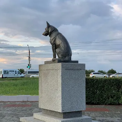 За что в Тольятти поставили памятник собаке | ИСКРА | Дзен