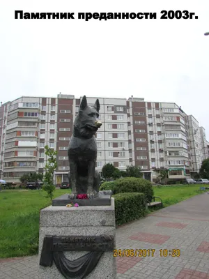 Фото: Памятник Преданности, памятник, мемориал, Самарская область, Тольятти,  улица Льва Яшина — Яндекс Карты