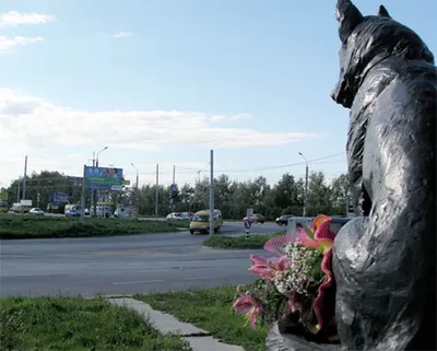 памятник преданности в тольятти россии Редакционное Фото - изображение  насчитывающей тольятти, напольно: 226750576