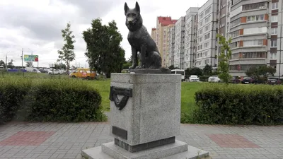 Памятник Преданности, Тольятти — 2ГИС