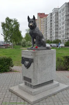 Памятник преданности в Тольятти: информация и фото, где находится Памятник  преданности в Тольятти