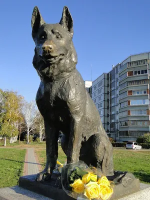Памятник преданности (Тольятти - Самарская область)