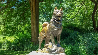 Памятник собаке в Костроме :: Лидия – Социальная сеть ФотоКто