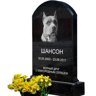 Купить памятник животным в Минске из гранита на могилу