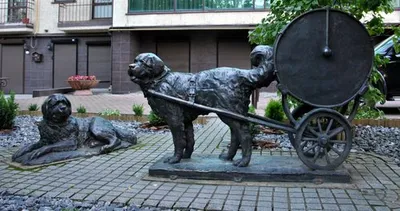Купить Статуя таксы, садовый декор, скульптура собаки из смолы для двора,  уличный декор в помещении | Joom