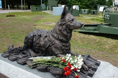 Памятники собакам: где стоят и за что | Блог ветклиники \"Беланта\"