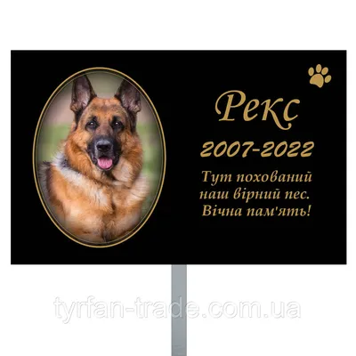 Памятник барабанным собакам, Калининград: лучшие советы перед посещением -  Tripadvisor
