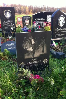 Памятник животным: собаке, кошке на могилу в Москве