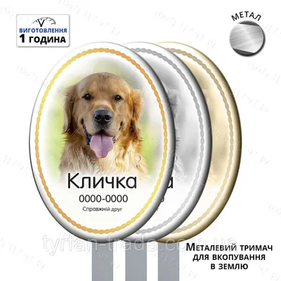 В Комсомольске-на-Амуре поставили памятник собаке, ждавшей хозяина 12 лет -  Агентство социальной информации
