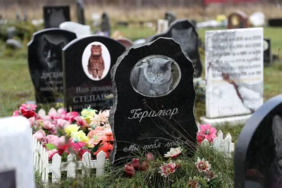 Памятники животным на могилу в Москве и Мо - компания Egranit