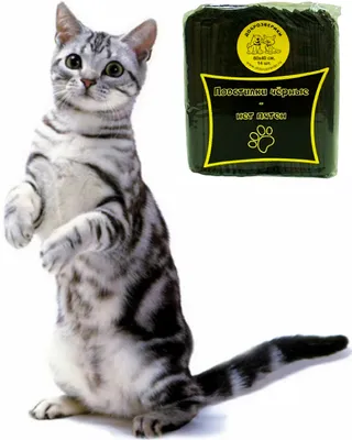 Отзыв о Подгузники для животных Luxsan Pets | Лайфхак: памперс для кошек
