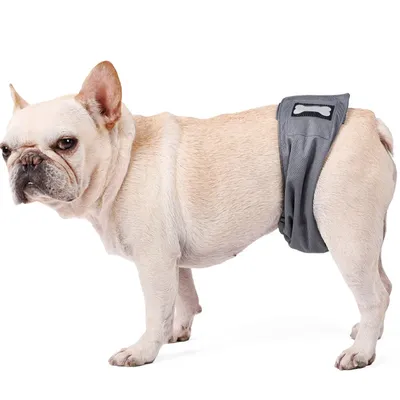 Памперсы (подгузники) для собак - Zoomax