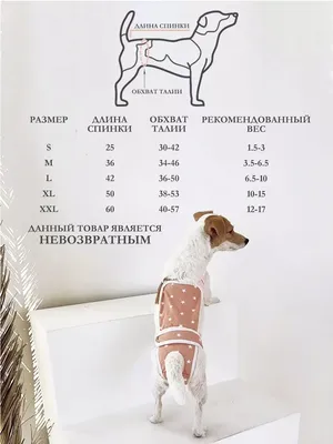Памперсы для собак Savic Comfort Nappy, T6 46-56 см, 12 шт купить 🐾 BiZOOn