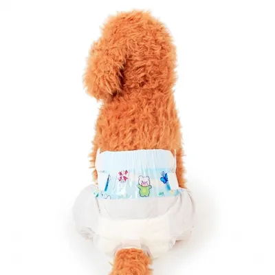 Подгузники для собак Beeztees Diapers For Dogs S 20 штук - купить в Баку.  Цена, обзор, отзывы, продажа