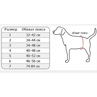 Памперсы для собак женского рода Trixie 23631, XS, 12 шт купить по низким  ценам в интернет-магазине Uzum
