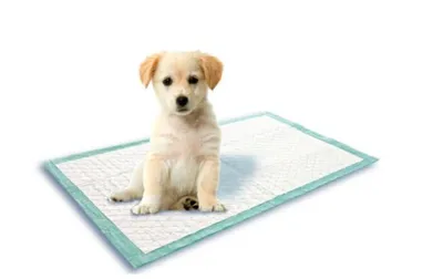 Купить Трусики для домашних животных, моющиеся водонепроницаемые подгузники  для взрослых кобелей для собак среднего размера | Joom