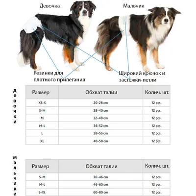 629₽ - Smart Dog Впитывающие пеленки для собак 60х40, 30 шт - купить в  Набережных Челнов