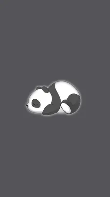 Wallpaper cute panda | Смешные животные, Панда, Милые животные