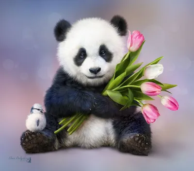 Pin by 𝐙ᴬᴿᴬ 𝐊ᴴᴬᴺ🦋🇵🇰 on 🩷🧸𝐩𝐡𝐨𝐭𝐨 𝐜𝐮𝐭 | Cute panda wallpaper,  Cute panda drawing, Panda background