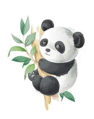 Panda Portrait - Wallpaper