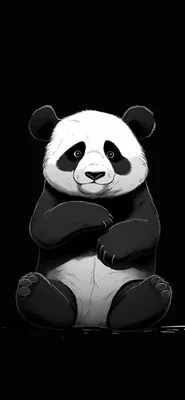 Pin by Quỳnh Nguyễn on Wallpaper ♥ | Panda bears wallpaper, Cute panda  cartoon, Panda background