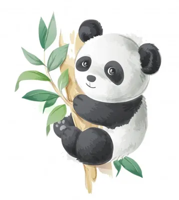 Рисунки панды легкие - 88 фото