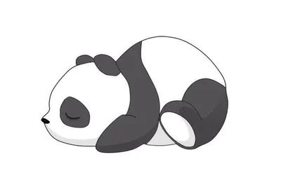 Funny wallpaper iPhone | Детёныш панды, Рисунки панды, Рисунок панды