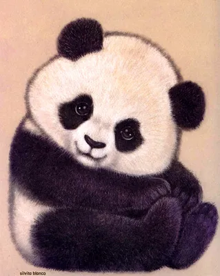 Рисунки панды легкие - 88 фото