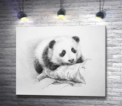 Рисунки панды для срисовки (78 фото)