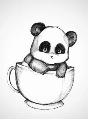 Cute Panda Cartoon Illustration Drawing White Background Stock Illustration  - Illustration of elephant, safari: 220313484