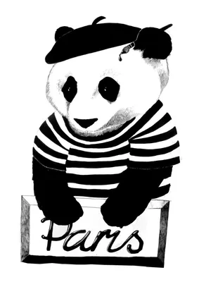 Гигантская панда Медведь Красная панда Рисунок, медведь, млекопитающее,  животные, карнавал png | Klipartz