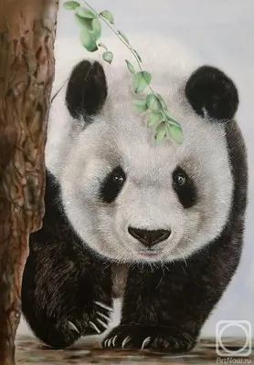 Рисунки панды поэтапно легко (49 фото) » рисунки для срисовки на  Газ-квас.ком