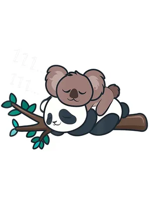 Little panda and koala cartoon character forest Vector Image